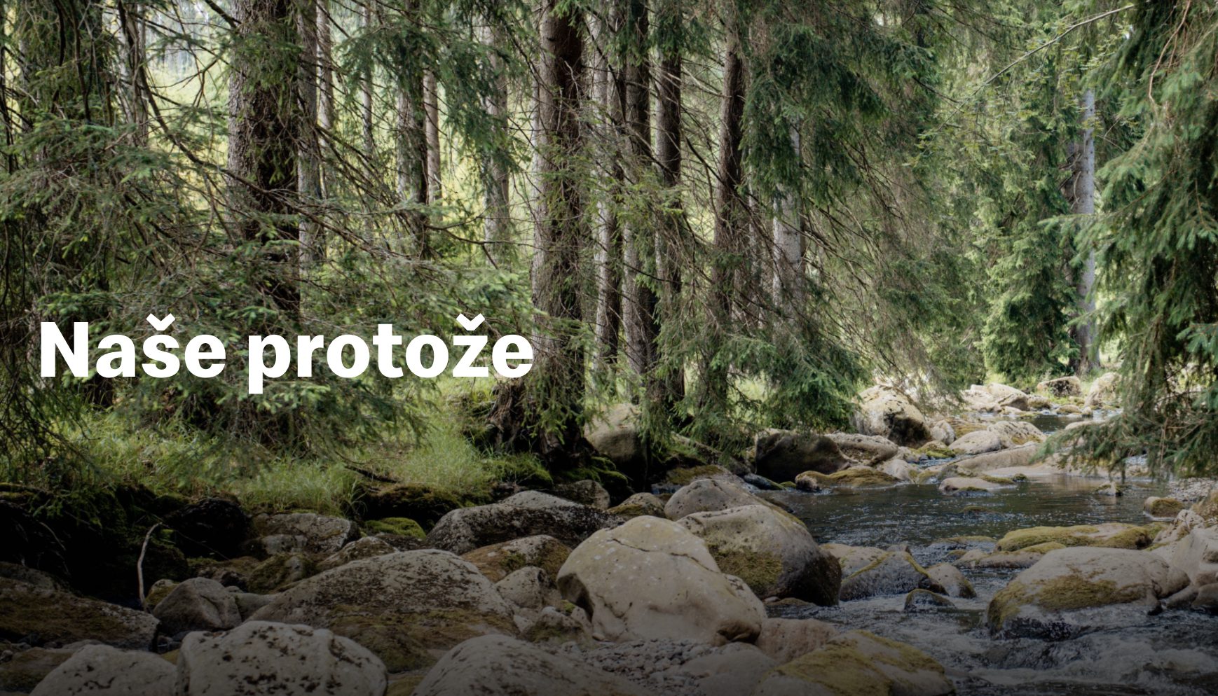 Snímek obrazovky 2021-05-03 v 12.18