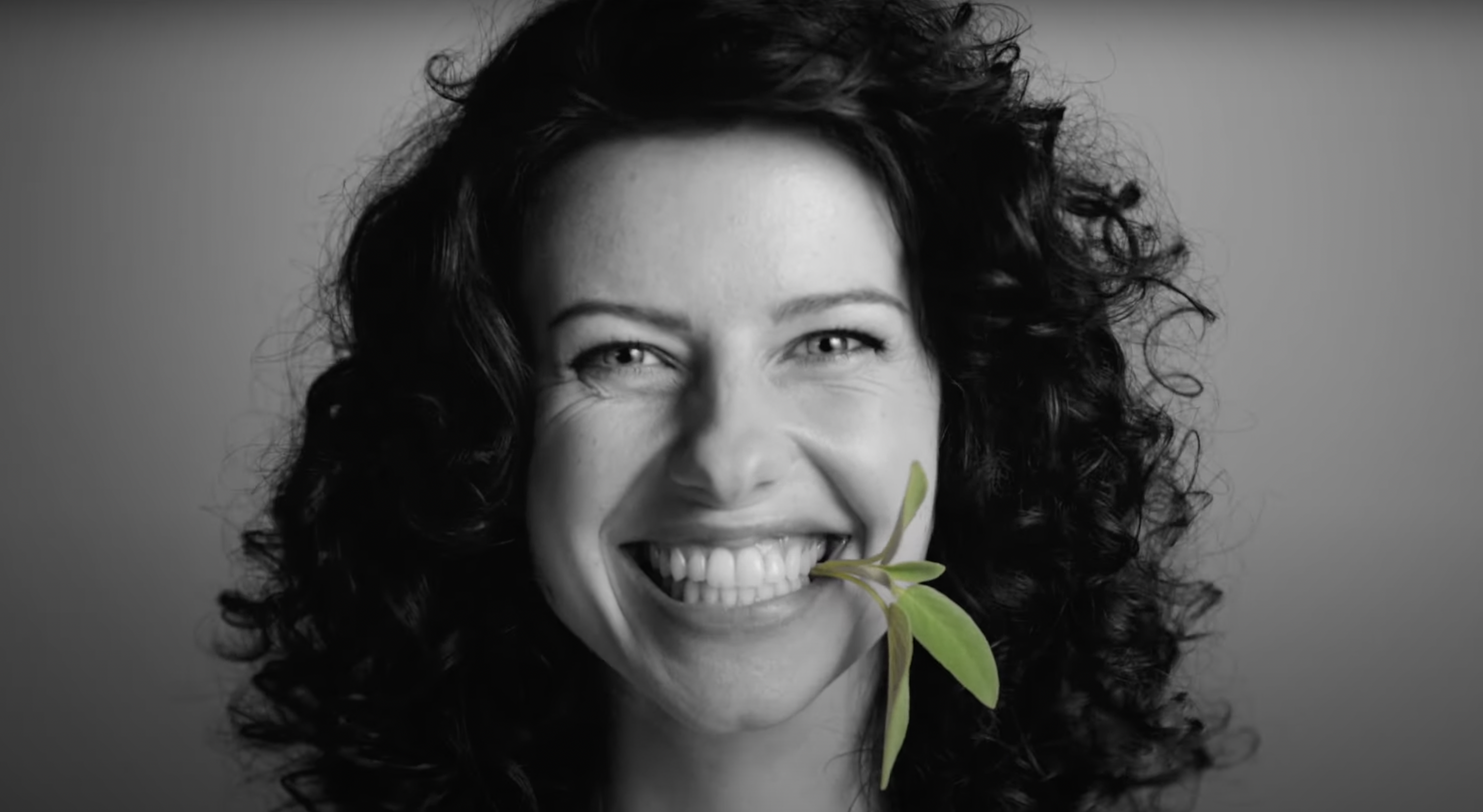 Snímek obrazovky 2021-11-04 v 14.53