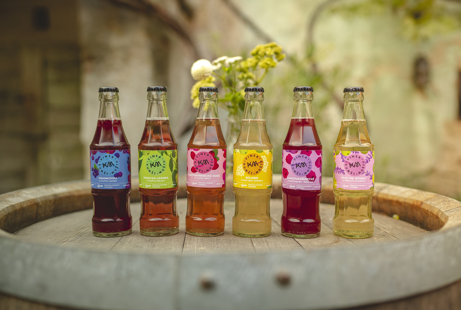 Vinea_Kumst Mostu_foto2_m