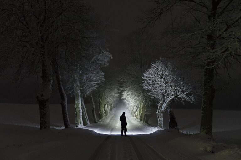 Man standing outdoors at night in tree alley shining with flashlight in Swedish winter landscape
