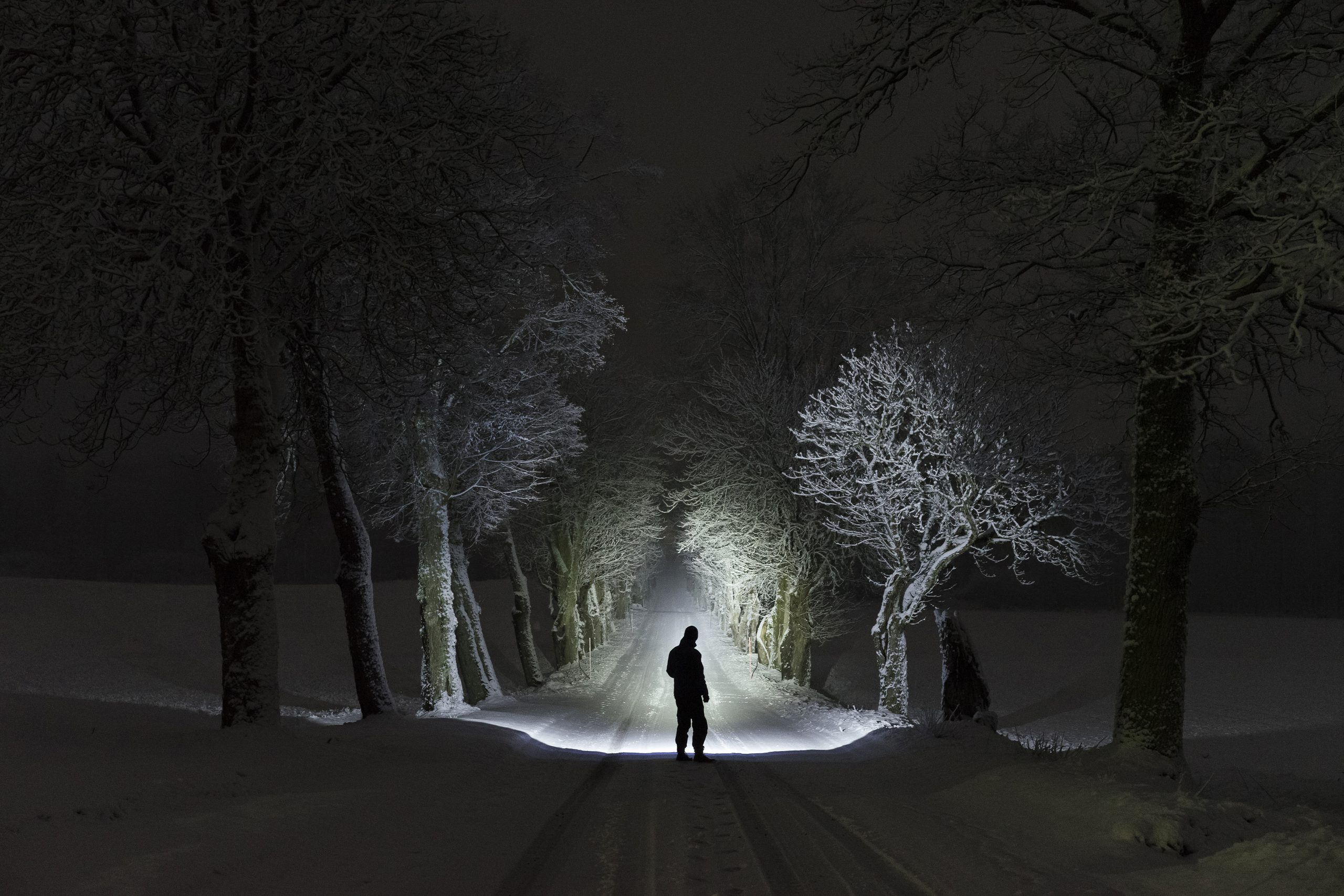 Man standing outdoors at night in tree alley shining with flashlight in Swedish winter landscape