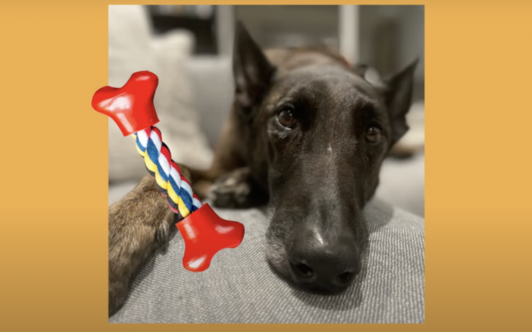 Snímek obrazovky 2022-01-16 v 15.17