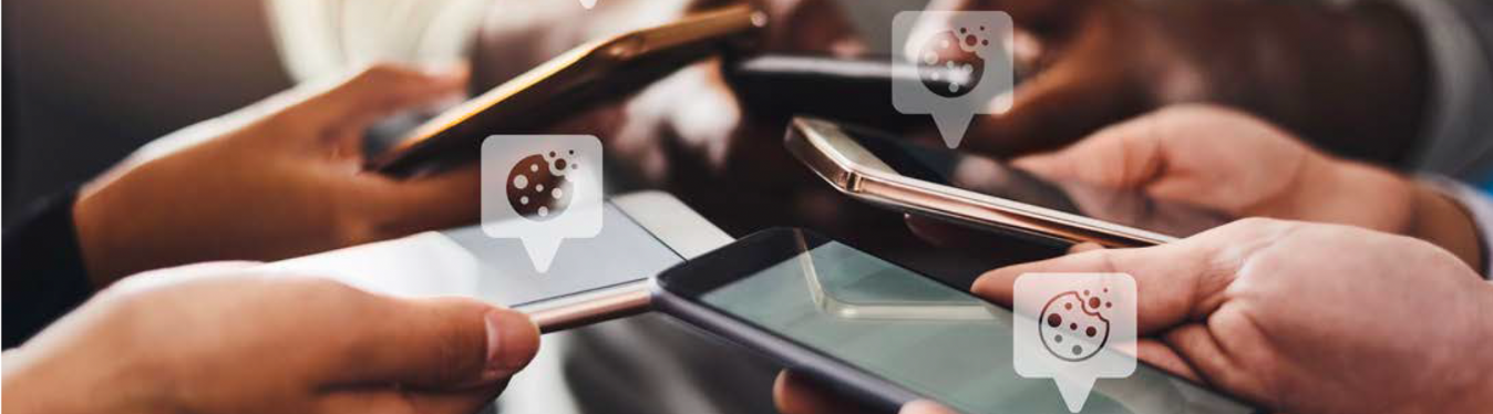 Obrazky web_sirka(47)