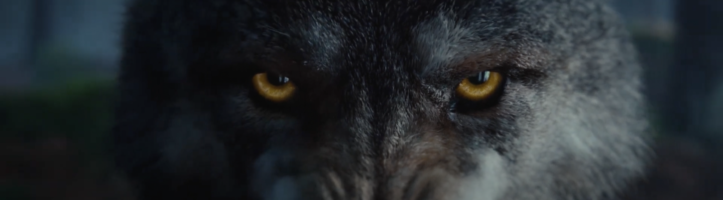 Snímek obrazovky 2024-01-31 v 12.20