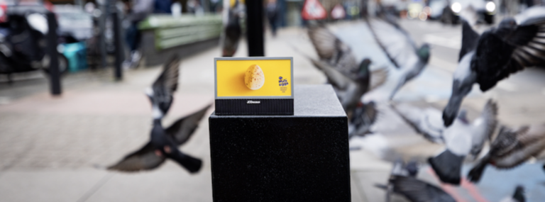 Cadbury_Snímek obrazovky 2024-03-24 v 19.26