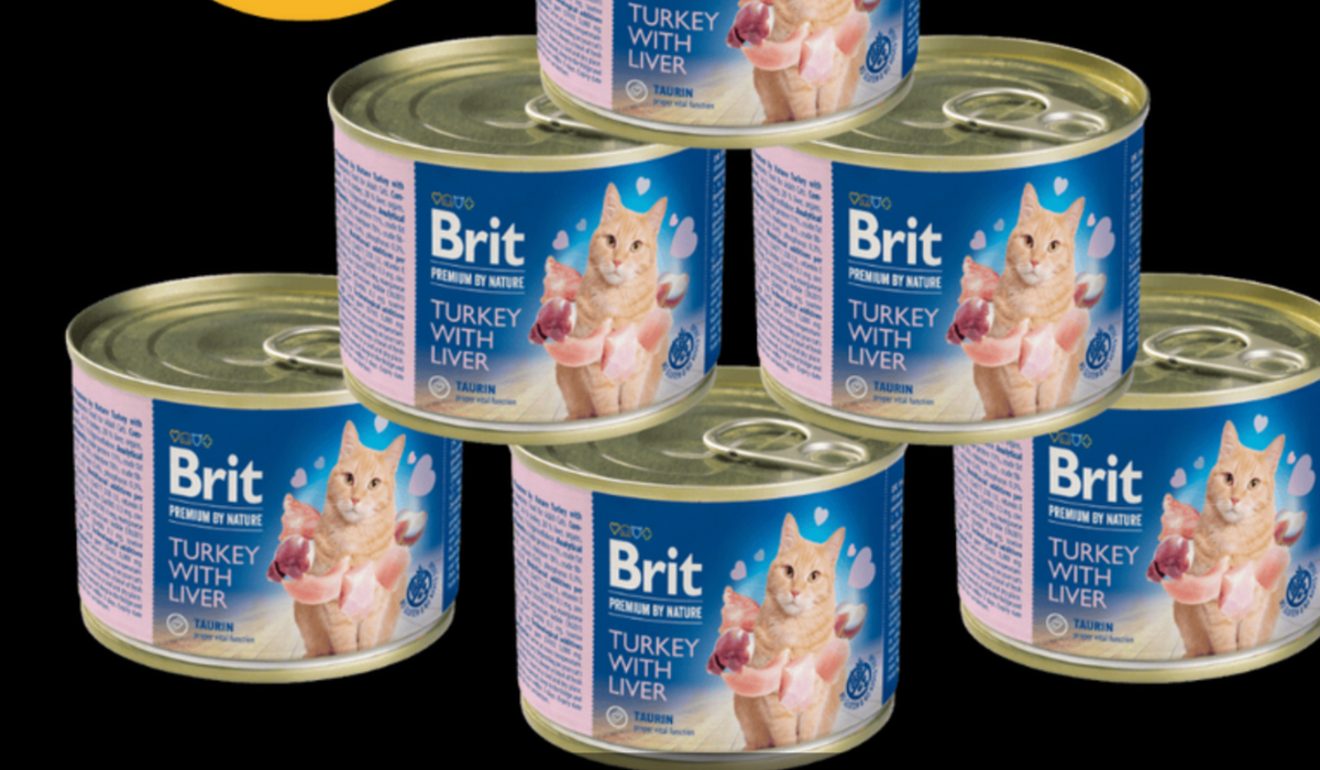 Návrh bez názvu-112