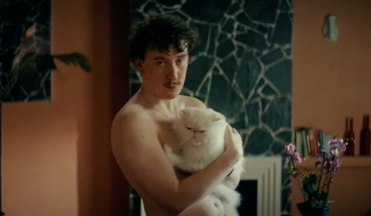 Lynx_catnip_otv_nový web-otvírák - 2025-03-29T195019