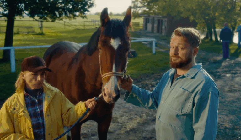 BrainMarket_konske davky_nový web-otvírák - 2025-04-26T171543