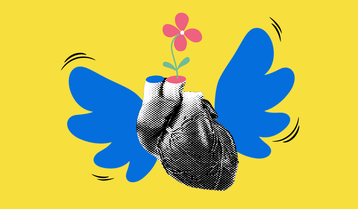 MAM class_emoce_web normal