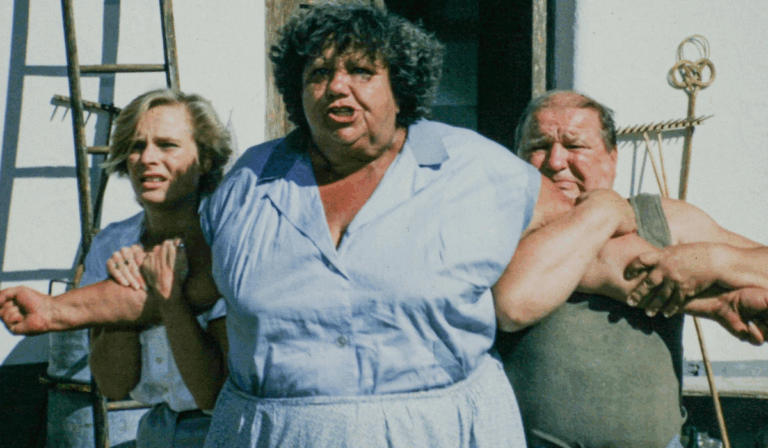 Slunce, seno a pár facek