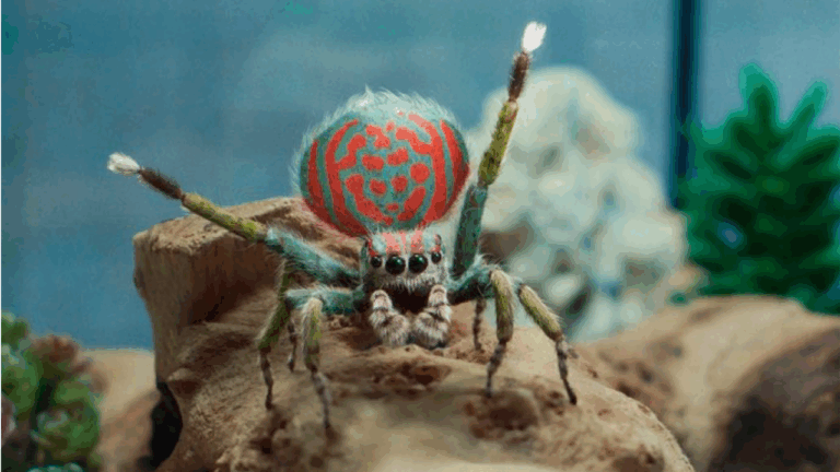 Nejnebezpěčnější dotyk