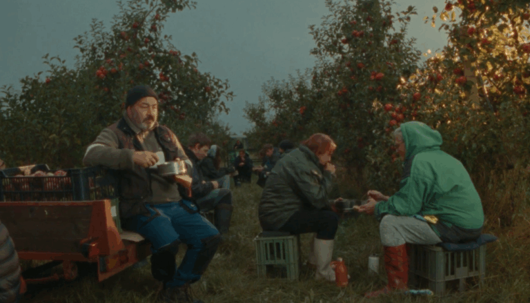 Státní zemědělský intervenční fond