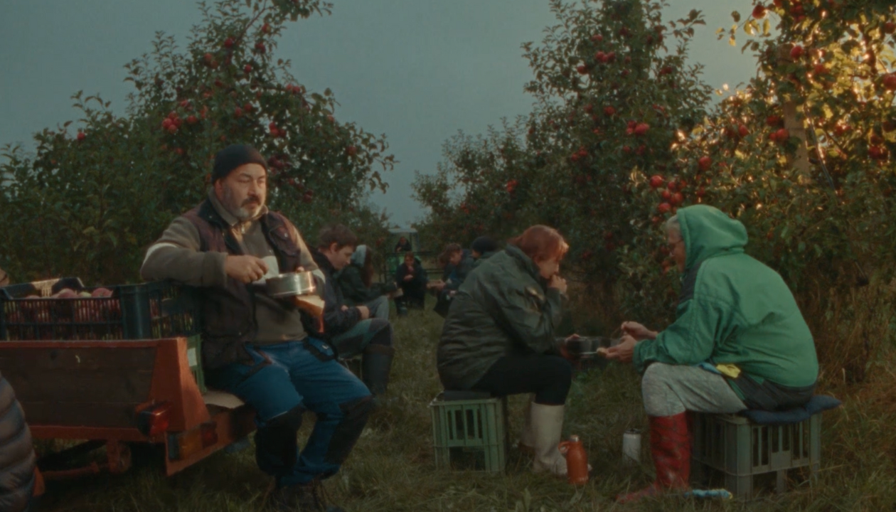 Státní zemědělský intervenční fond