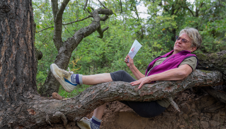 Klik - Bába pod kořenem