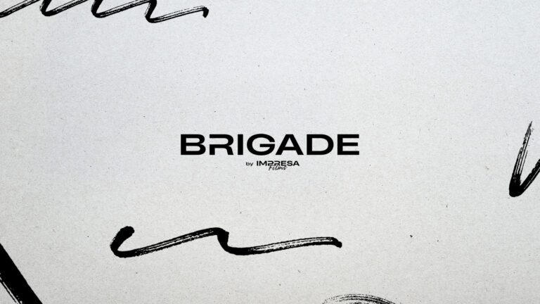 BRIGADE_vizual