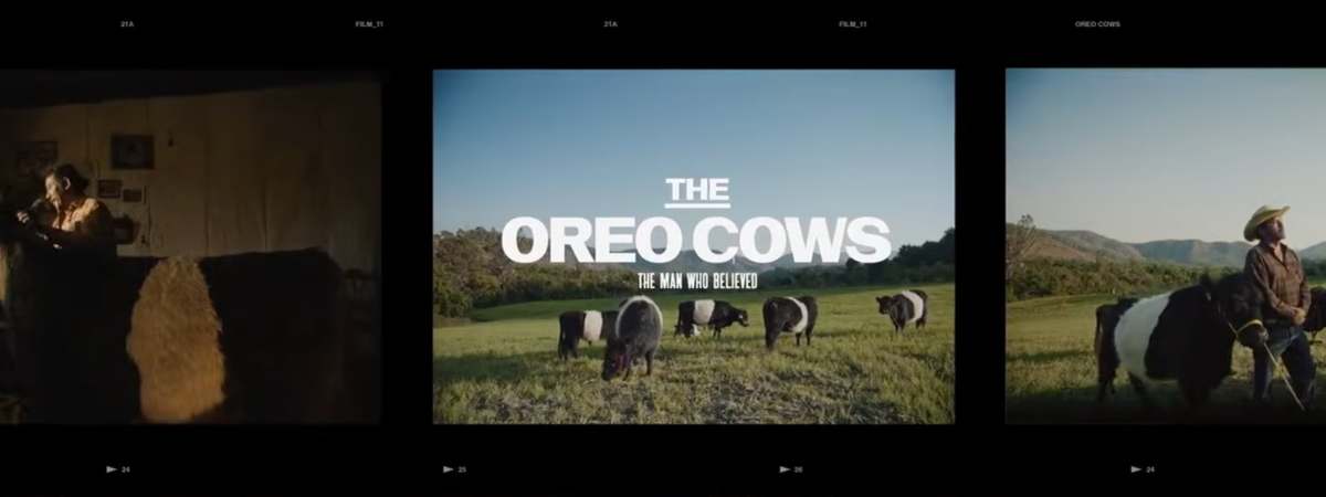 Oreo krávy